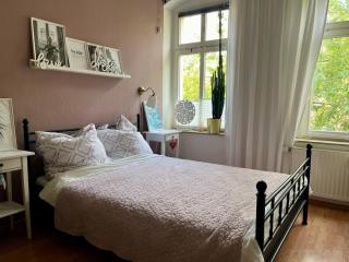 Gemütlicher Altbau im Herzen von Chemnitz - Chemnitz - 7