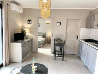 Charmant T2 lumineux avec terrasse - Propriano - 4