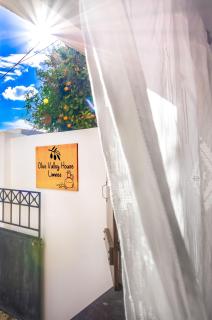 Olive Valley Traditional House - 8