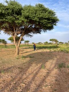 auberge Tenere - Mhamid - 1