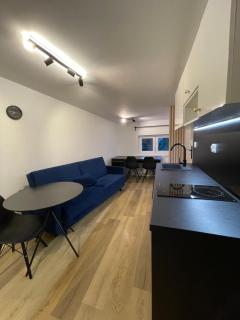 Mieszkanie przy Bazarku - APC APARTMENTS - Poznań - 0