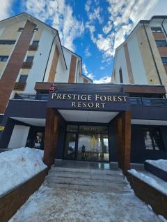 Prestige Forest Resort Apartman Djuric - Zlatibor - 8