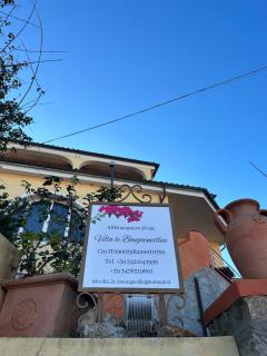 Villa le Bougainvillea - La Maddalena - 6