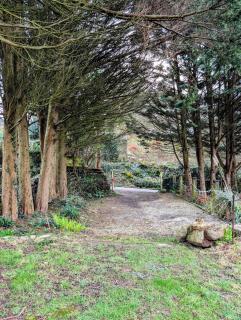 Ramble & Rye - The Nest - 8