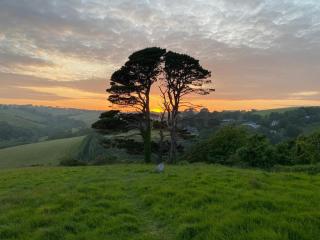 Ramble & Rye - The Nest - 1