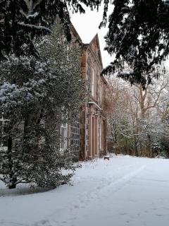 Beautiful Listed Mansion with incredible woodland views - Huntly - 5