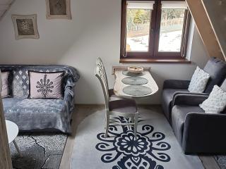 Apartament u Busiów - okolice Zakopanego - 3