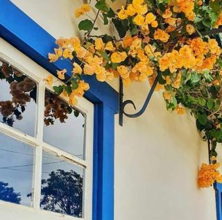 Casa grande, charmosa pertinho do centro - 6