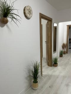 Casa Del Mar - Mali Lošinj - 6