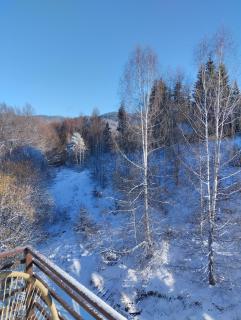 N Lux 95 Milmari - Kopaonik - 8