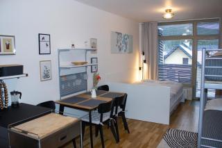 ENJOYHARRACHOV - Atraktivní slunné studio Čertovka v centru Harrachova s garážovým parkováním, Wifi-WLAN, SAT, herní konzolí, Netflix zdarma a nejkrásnějším výhledem na Čertovu horu s areálem skokanských můstků a sjezdovku - 4