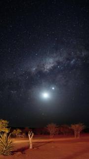 petrified forest restcamp - 3