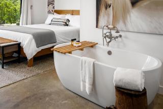 Cocavin Carriage House - 6