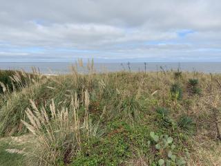 Beach Front on the Bay on the Dunes bungalow - 5