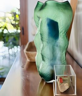 Mansão Tartarugas - Natú - 5