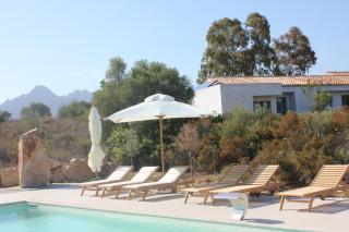 Cantos e Sonos Charming Guest House - Ardali - 5
