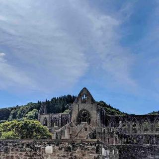 Secluded and self-contained Room with a View - Tintern - 4