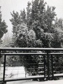 Huala playa y montaña - 5