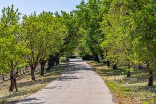 Vineyard Retreat - 5