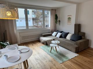 Gemütliche und geräumige 2,5 Zimmer Wohnung mit kostenlosem Parkplatz - St. Gallen - 9