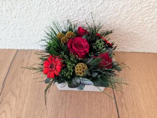 Studio le Cosy - Bourgoin Centre - Bourgoin - 3