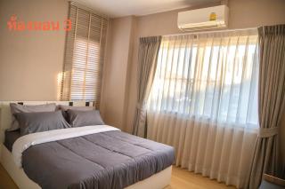 Modern living house - Chiang Mai - 1