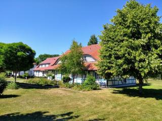 Strand-Wohnung "Weißdorn" - Dranske - 6