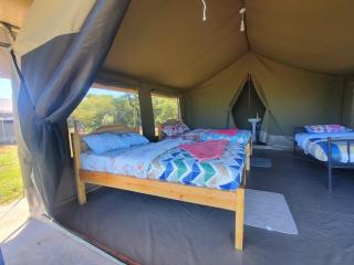 Giraff maasai mara home stay&safaris - Sekenani - 3