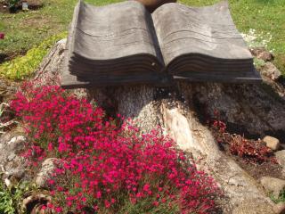 Pauka Holiday House - 3