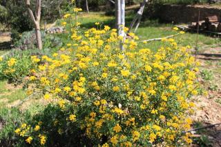 T2 Calme et campagne - Entrecasteaux - 1