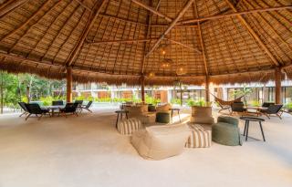 2BR Jungle View w Private Pool Gym Fast WIFI - Tulum - 5