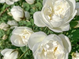 4 person holiday home in HALLSTAVIK - 2