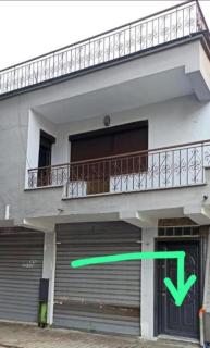 ROYAL SINA Hostel - Tirana - 7