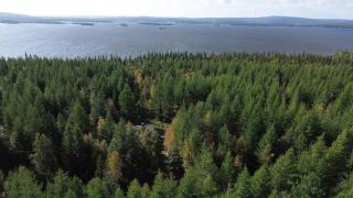 "Mökki-Mélèze" chalet in Pallas-Yllastunturi, Levi - 4