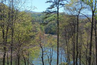 Happy Hollow - Caryville - 8