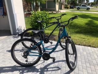 Villa Alexandria - Built in 2020! Modern electric-heated pool home w/bikes - SWFL Rentals - 4