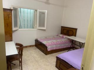 Lively Stay by Mansoura University - 6