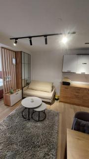 Apartman Mećavnik Kopaonik - Kopaonik - 8