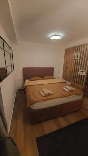 Apartman Mećavnik Kopaonik - Kopaonik - 3