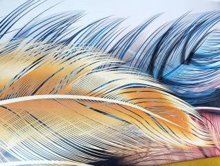 Coeur de Ville Montbéliard - 8