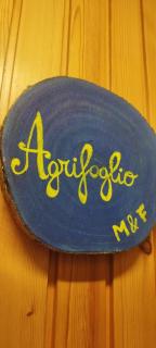 Agrifoglio - 9