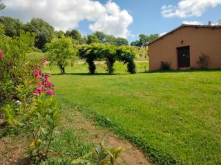 Tenuta Vallenoci - Cura - 6