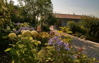 Il Mulino della Signora Luxury Country House - 3