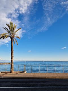Studio Les agrumes - Roquebrune-Cap-Martin - 6