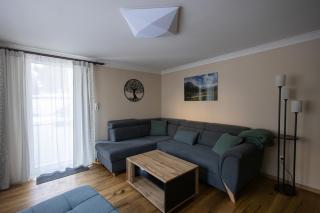 Heimathaus Hettegger neue gemütliche Ferienwohnung - Grossarl - 3