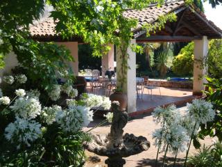 Villa Iolanda-Sive Natura Wine&House - Giarre - 5