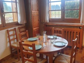 Appartement calme près du lac avec jardin, terrasse, parking et WiFi - FR-1-624-45 - Samoëns - 6