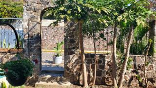 Habitación Jazmín - Malinalco - 3