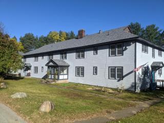Saranac Lake Studio Apartment - Saranac Lake - 9