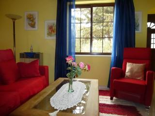 Casa las Pincoras - El Paso - 9